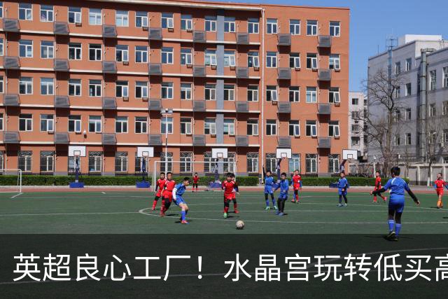 英超良心工厂！水晶宫玩转低买高卖，四笔交易狂赚上亿元无人能及