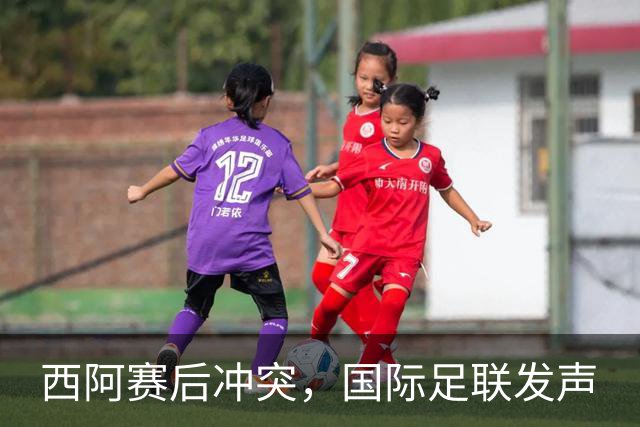 西阿赛后冲突，国际足联发声